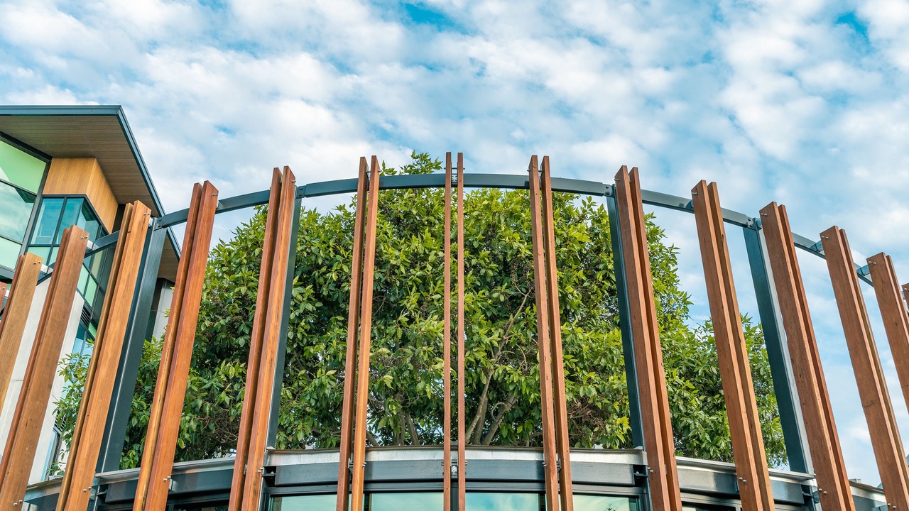 Photo of Outdoor in Mitchell Park