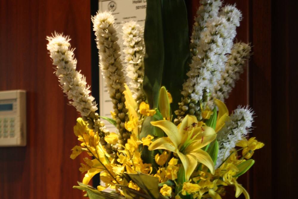 Photo of Others in Tonsley