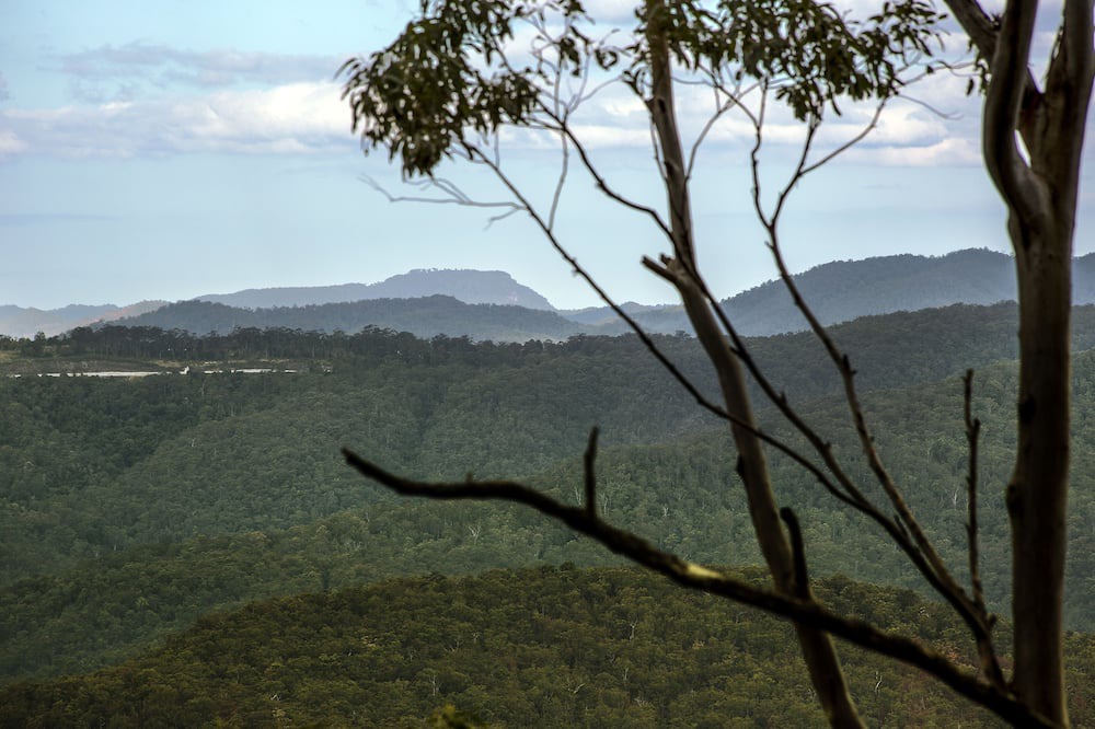 Photo of Outdoor in Mount Tamborine