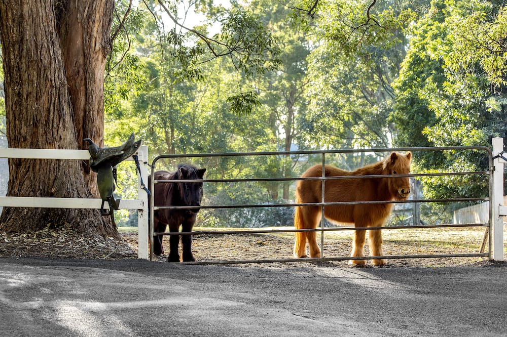 Photo of Others in Mount Tamborine