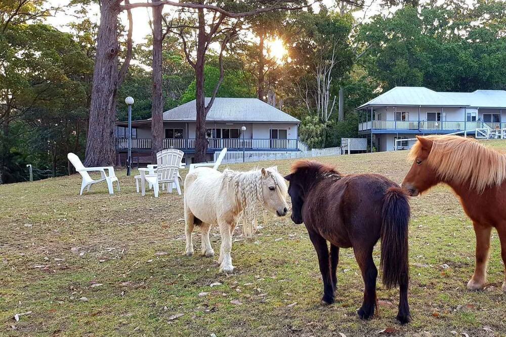 Photo of Outdoor in Mount Tamborine
