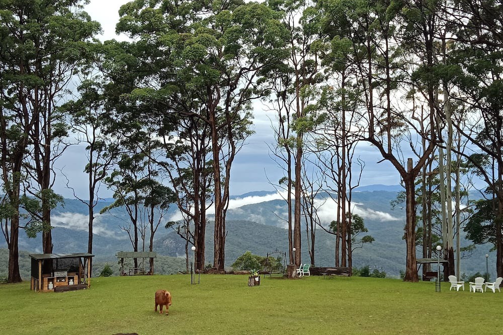Photo of Outdoor in Mount Tamborine
