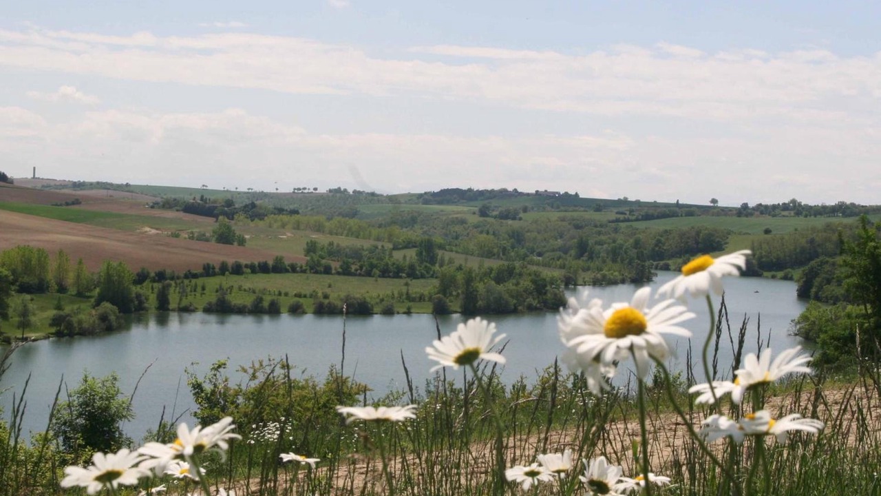 Photo of Outdoor in Nailloux