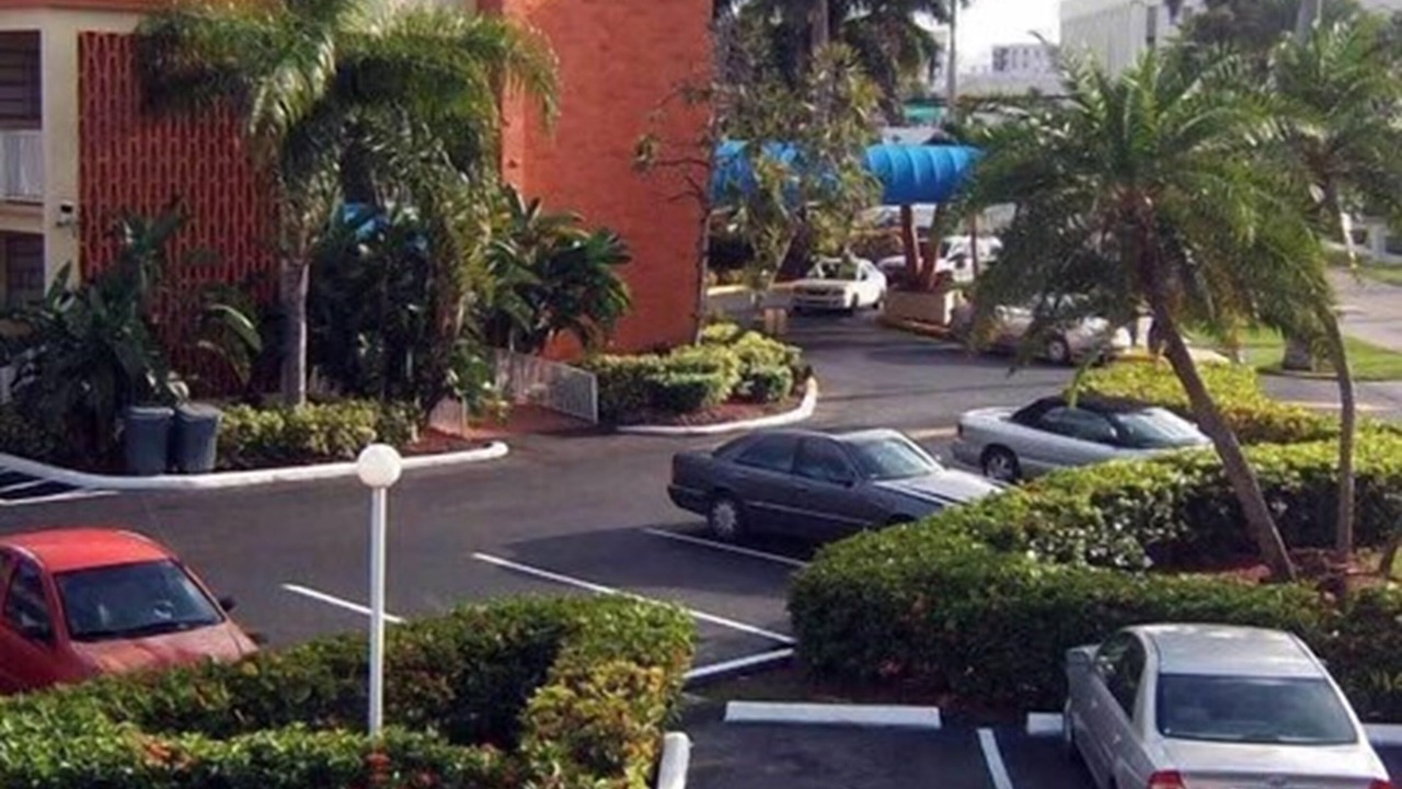 Photo of Others in Hallandale Beach