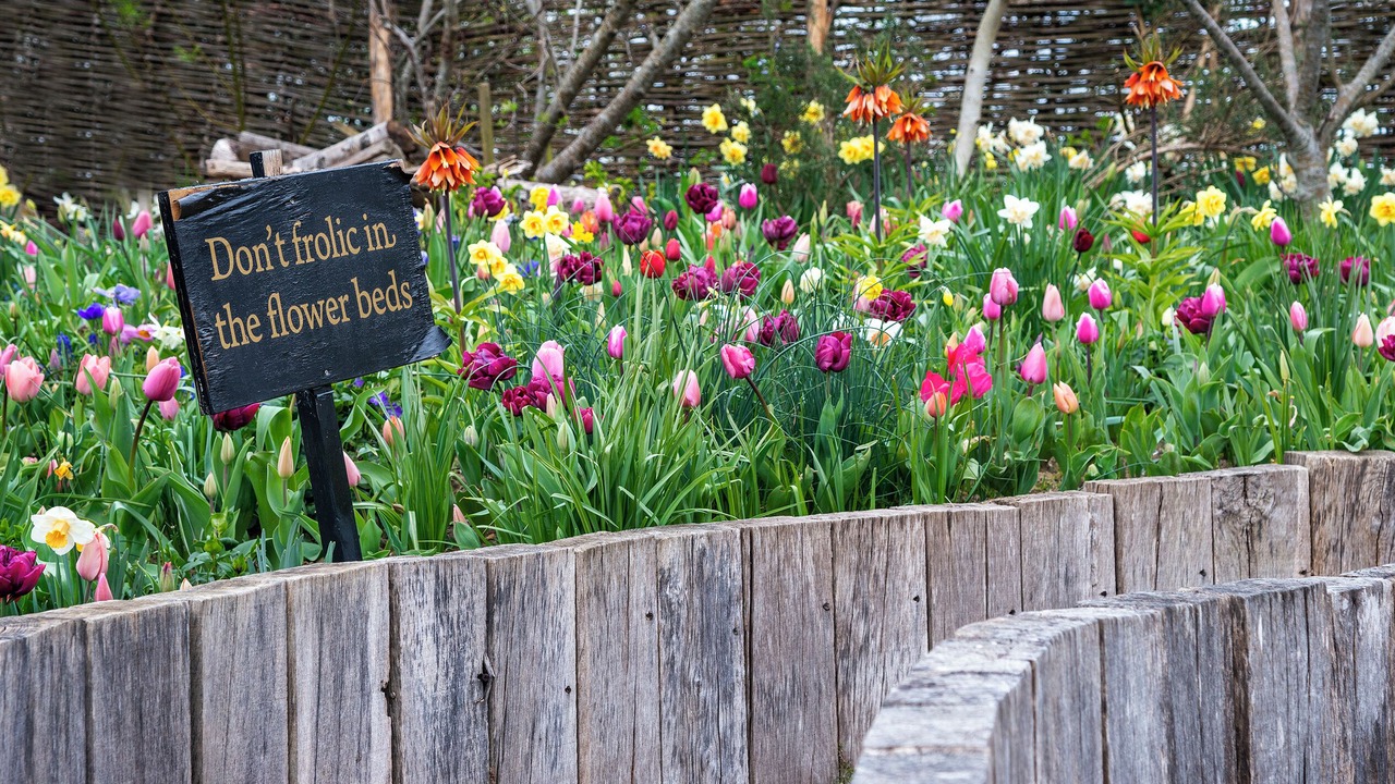 Photo of Bedroom in Ticehurst