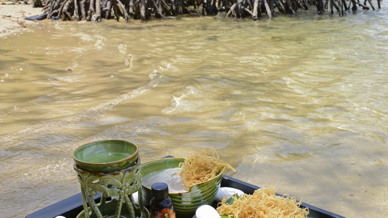 Photo of Others in Kampung Gaya