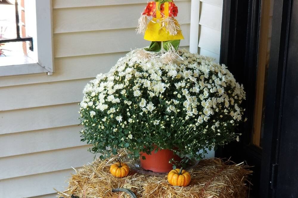 Photo of Outdoor in Phoenixville