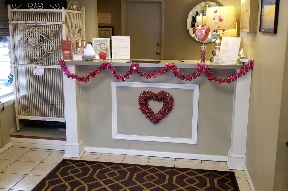 Photo of Others in Phoenixville