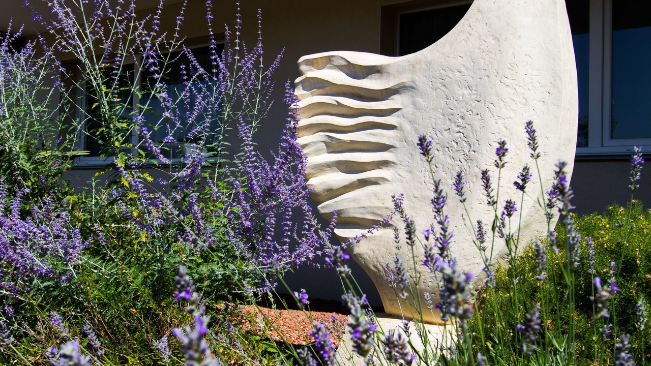 Photo of Others in Montpellier