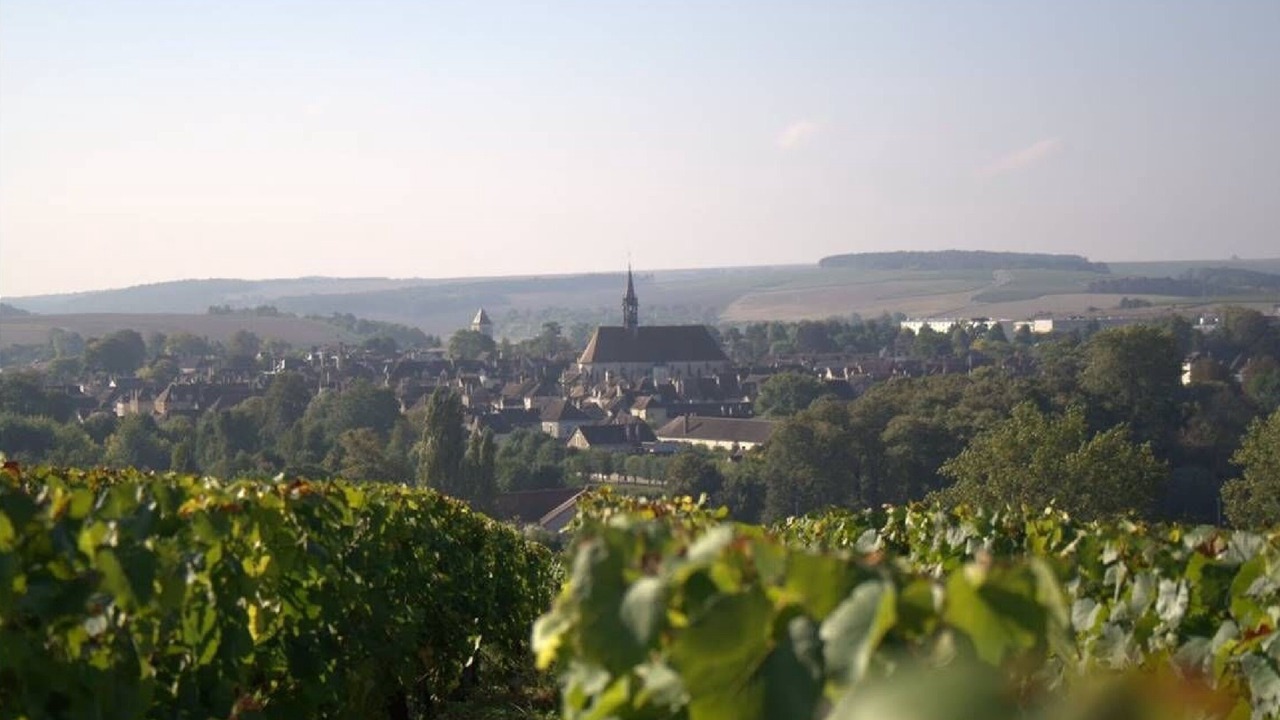 Photo of Others in Chablis