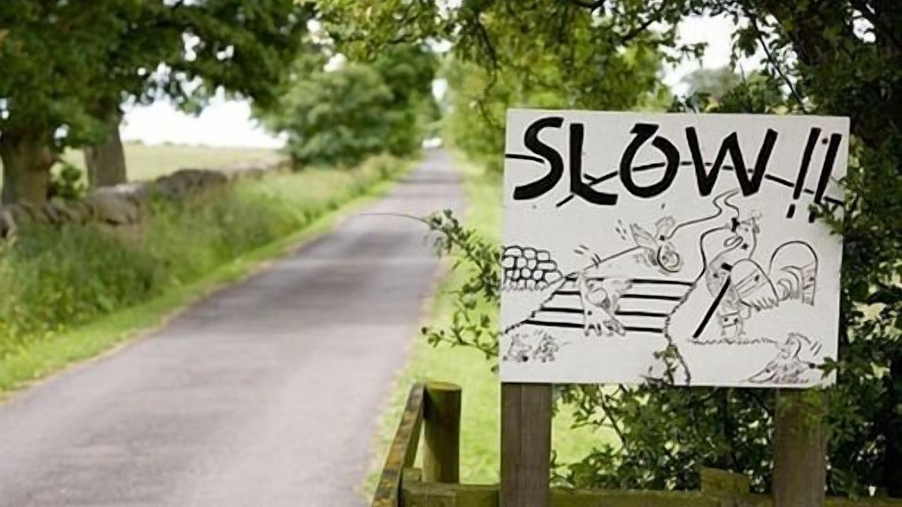 Photo of Others in Hexham