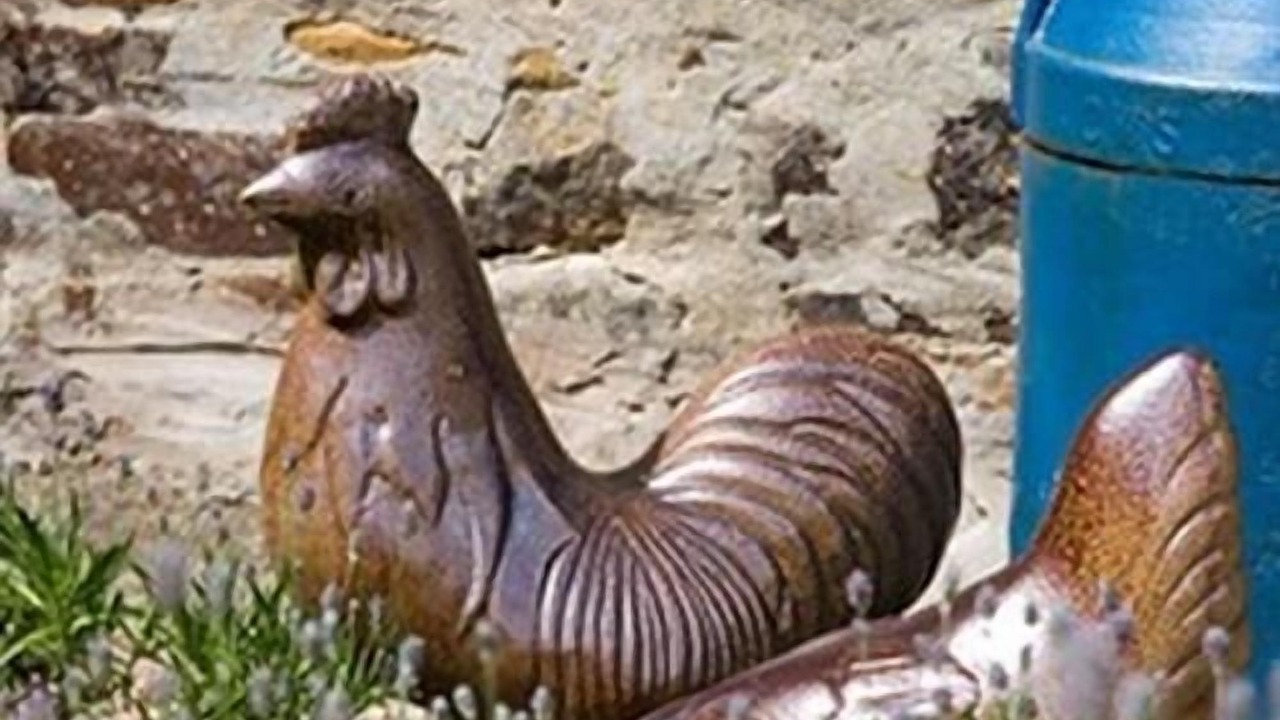 Photo of Others in Hexham