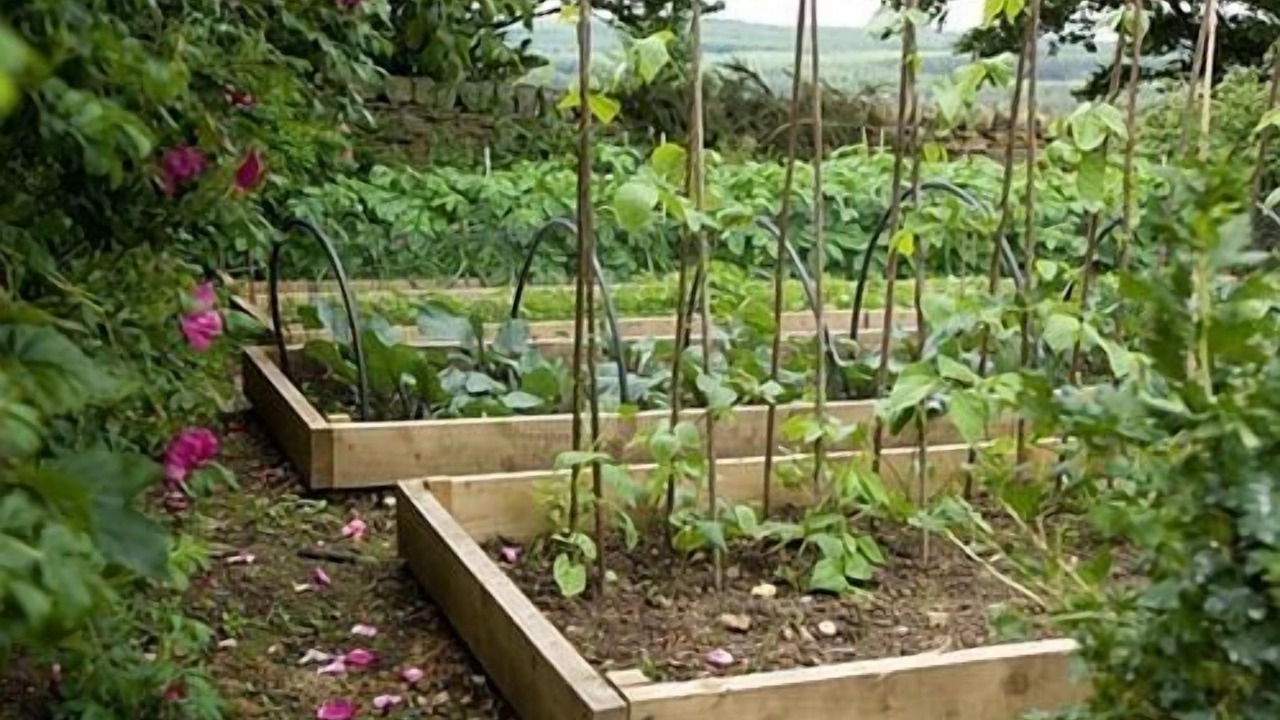 Photo of Others in Hexham