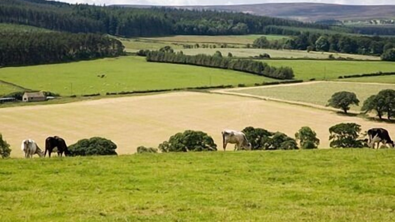 Photo of Others in Hexham