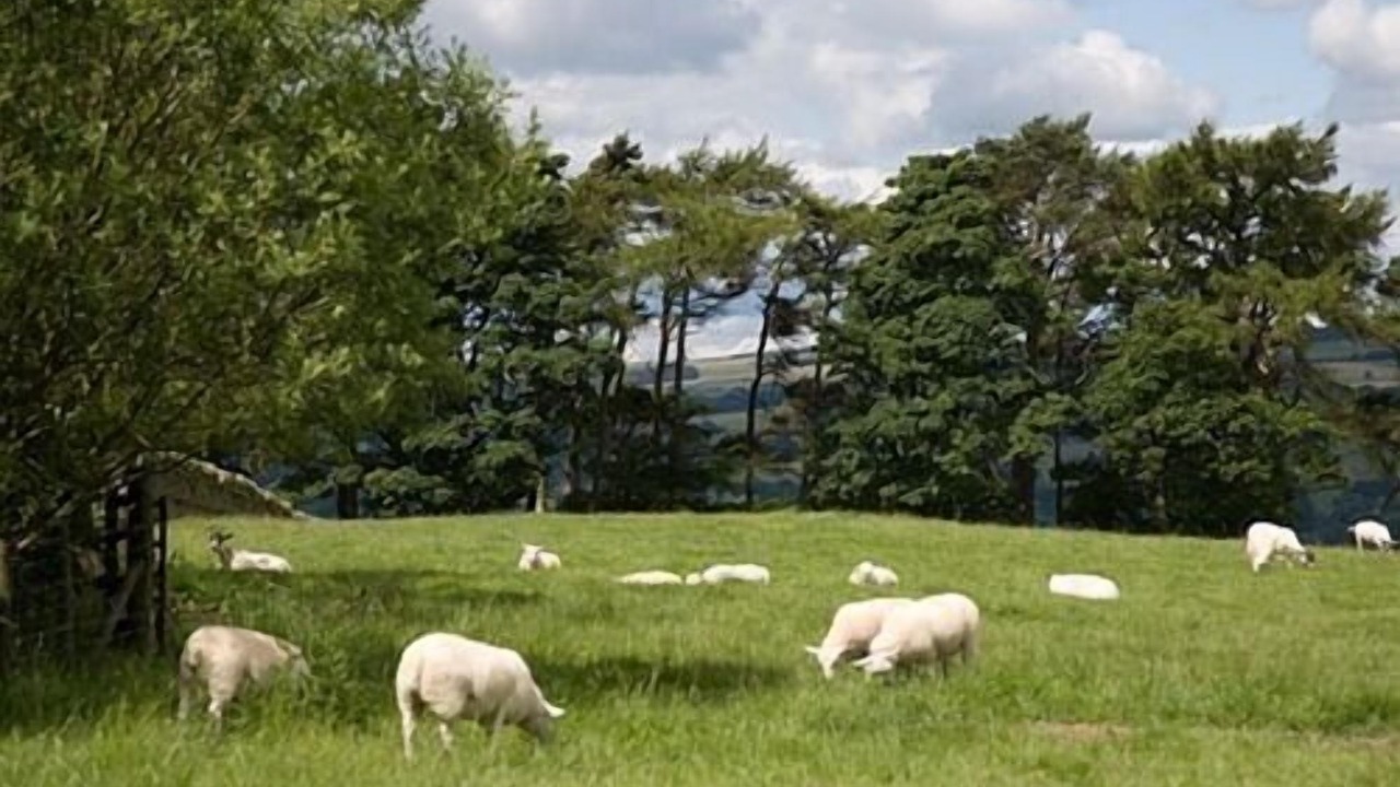 Photo of Others in Hexham