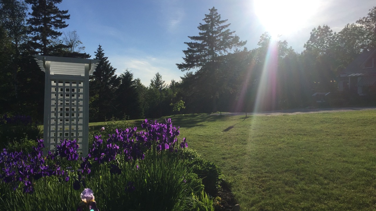 Photo of Others in Mendon