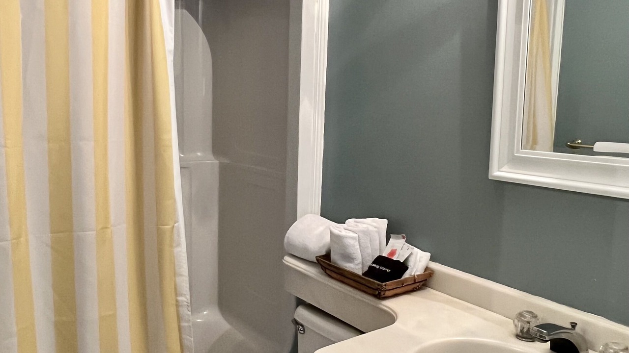 Photo of Bathroom in Charleston Historic District