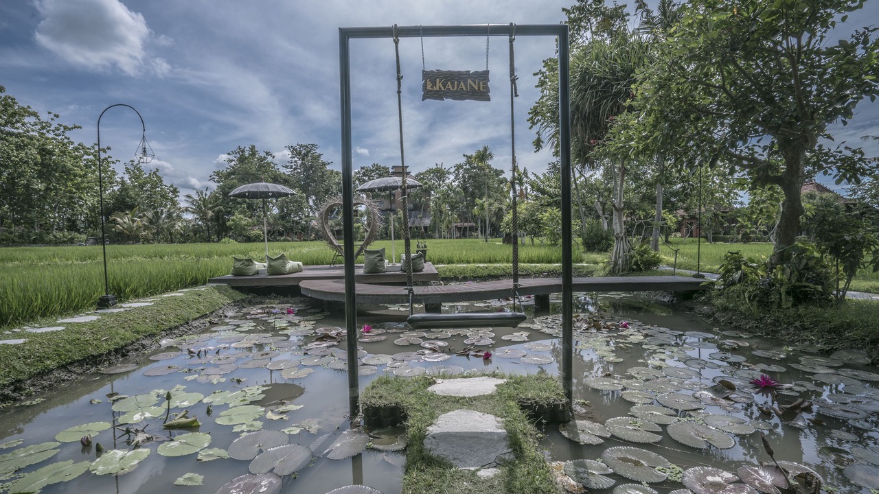 Photo of Outdoor in Peliatan