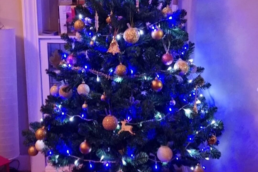 Photo of Others in Largs