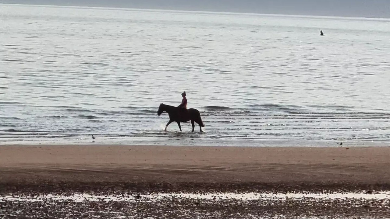 Photo of Others in Largs