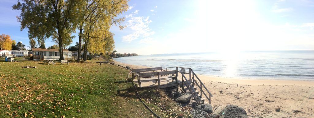 Photo of Others in Brighton