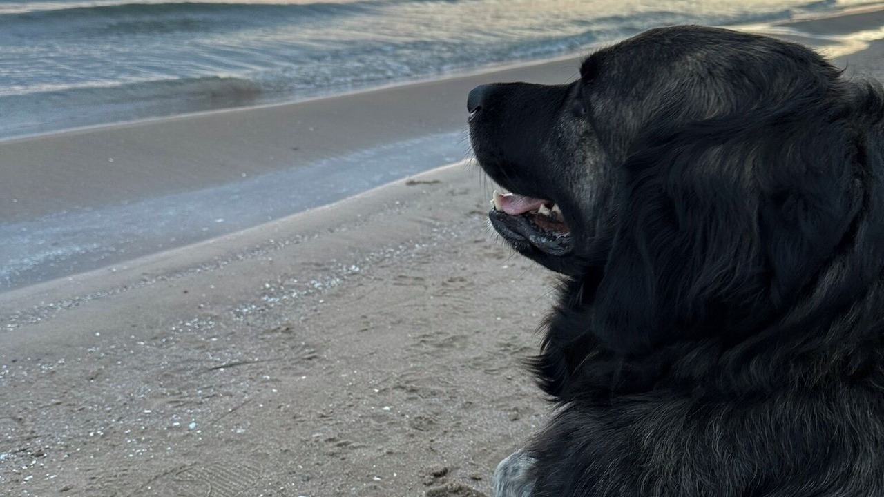 Photo of Others in Brighton