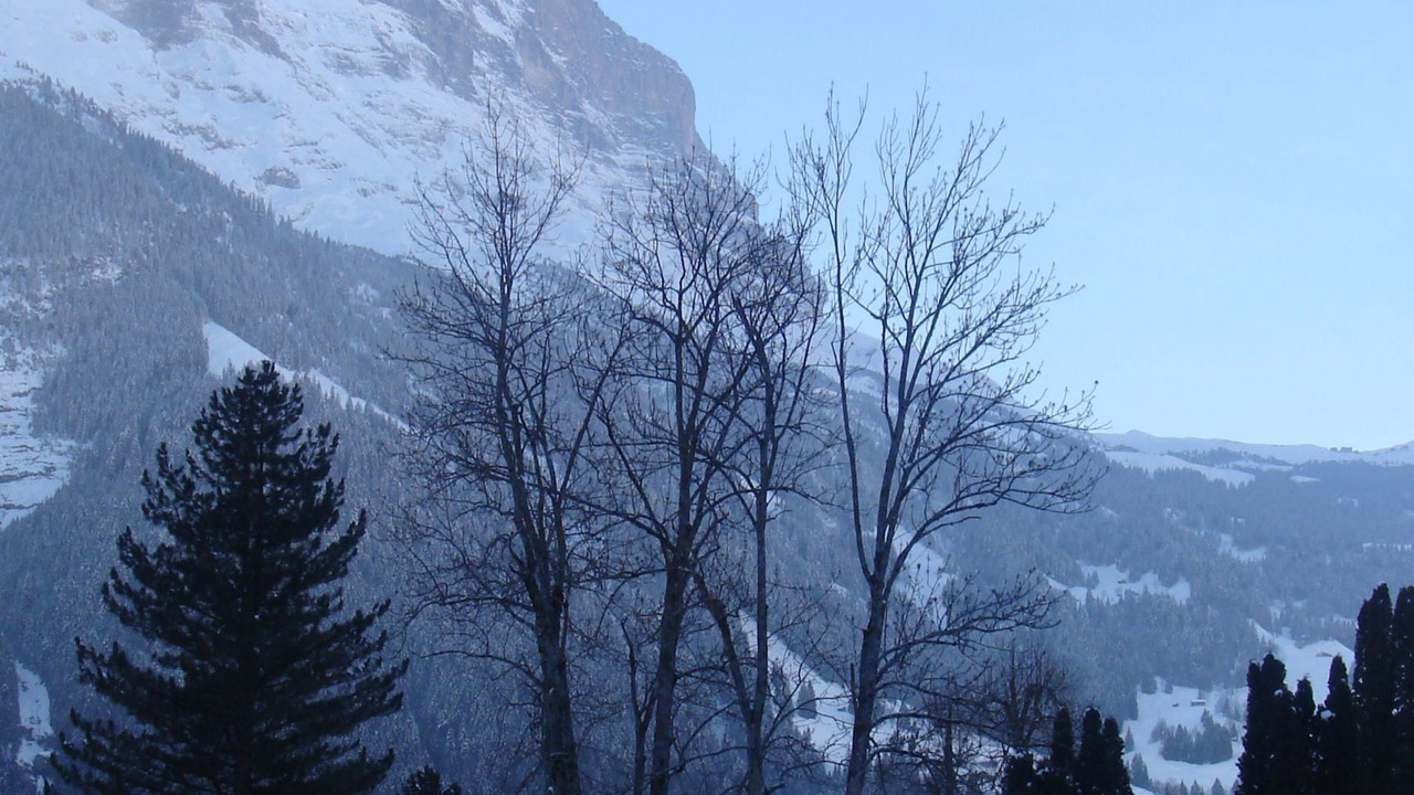 Photo of Others in Grindelwald