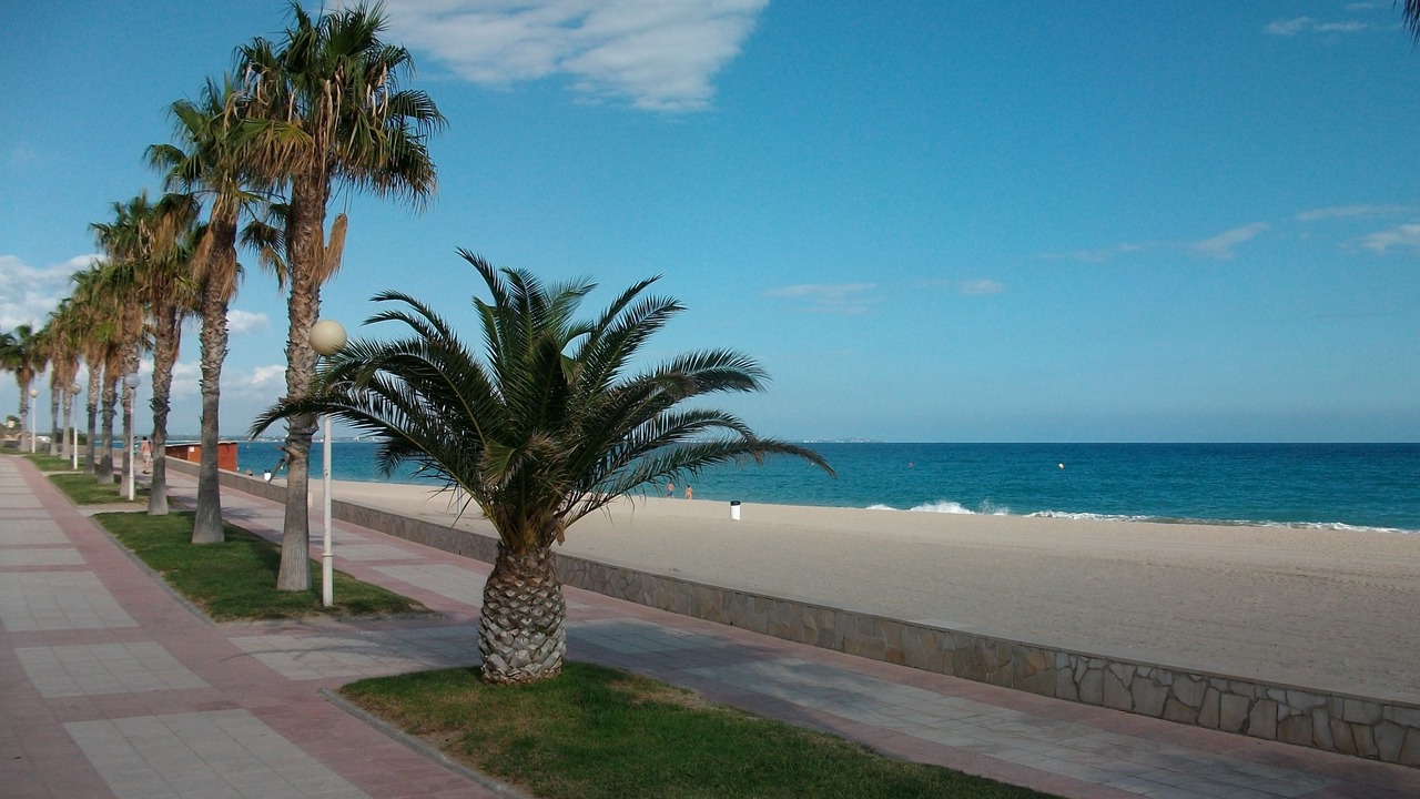 Photo of Others in Miami Platja
