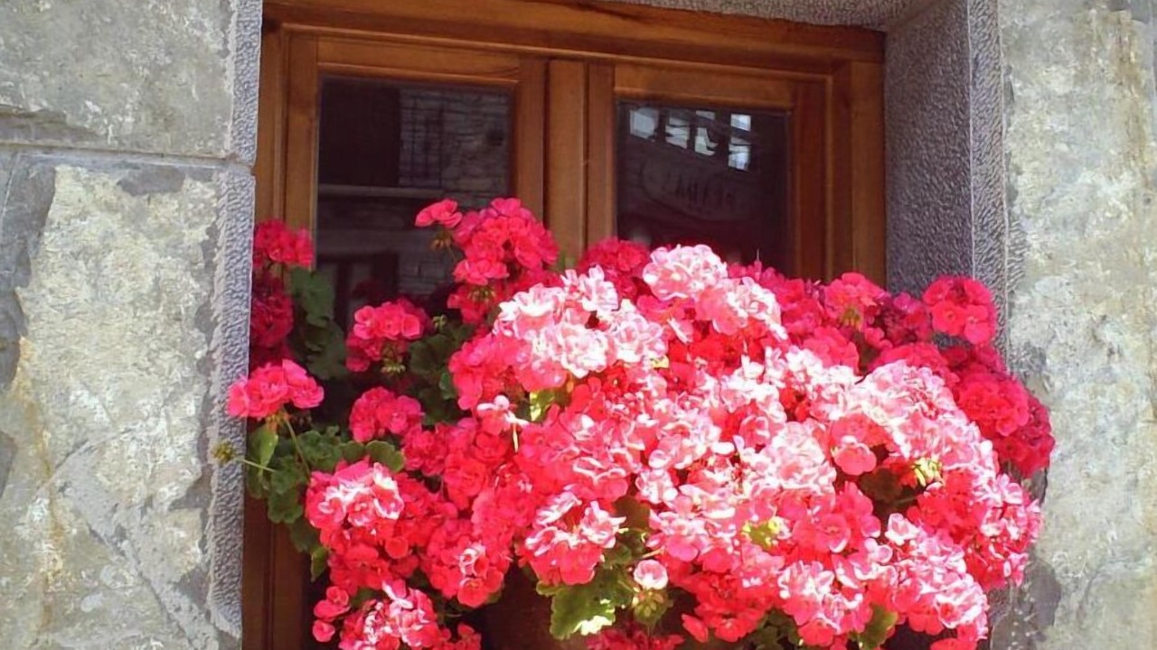 Photo of Outdoor in Broto