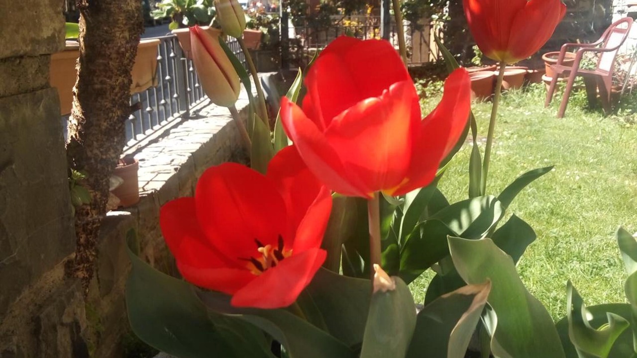 Photo of Outdoor in Broto