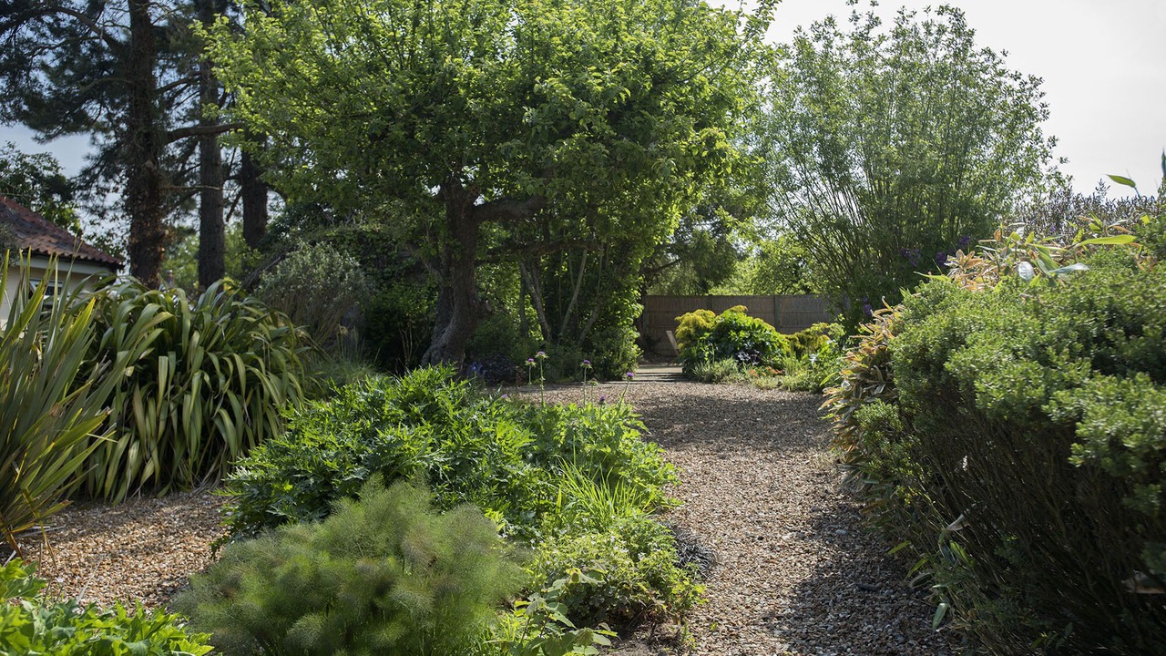 Photo of Outdoor in Thursford