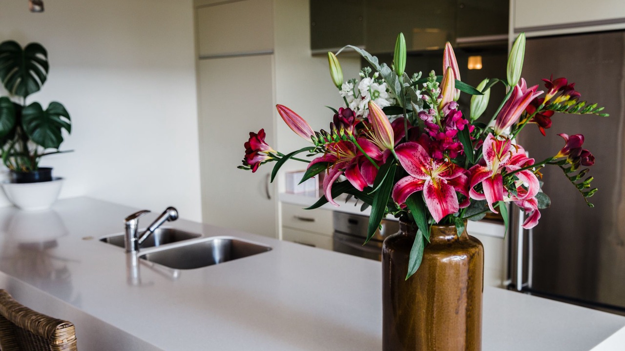 Photo of Others in Tamahere