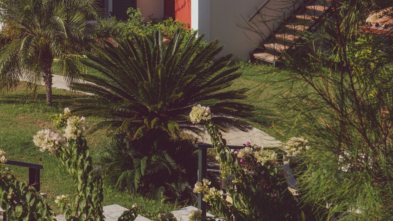 Photo of Outdoor in Akrotiri