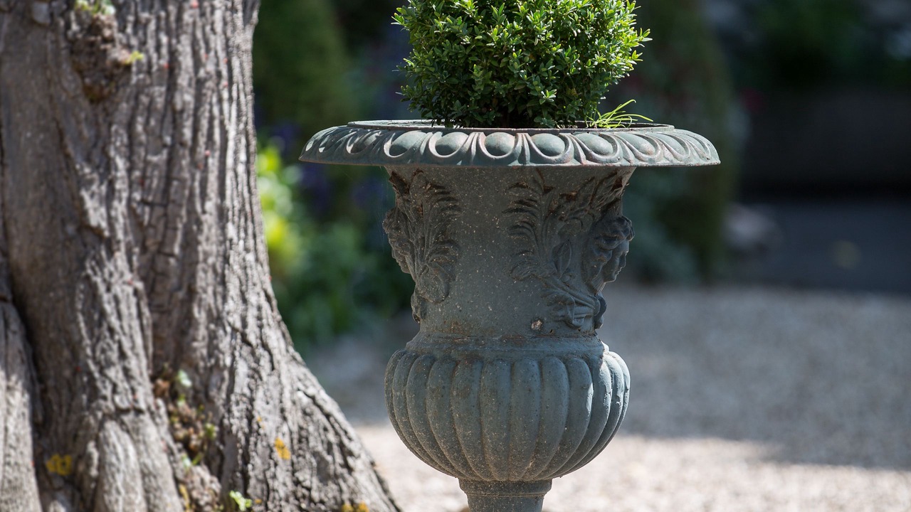 Photo of Outdoor in Orry-la-Ville