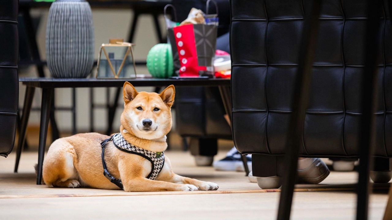 Photo of Others in Calais City Center