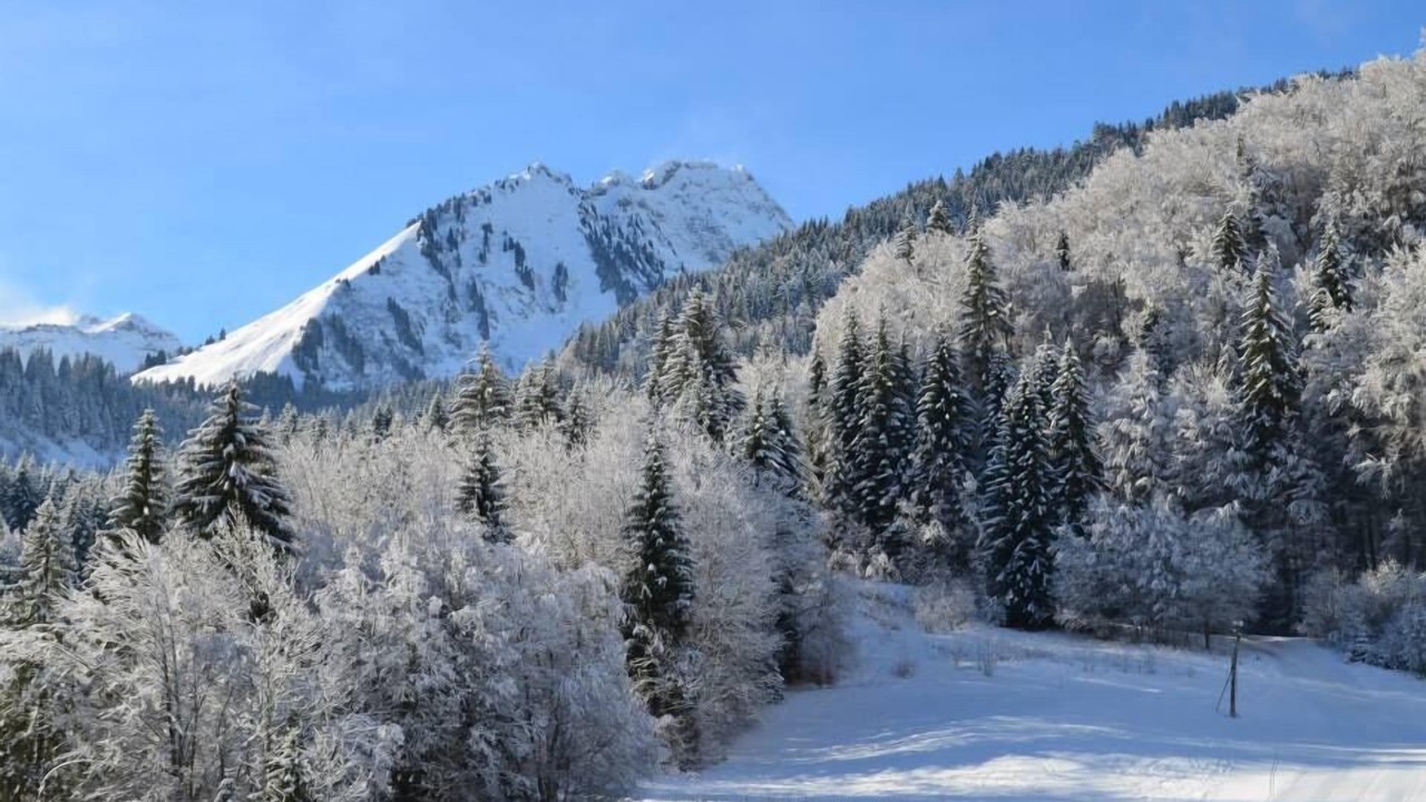 Photo of Others in Abondance