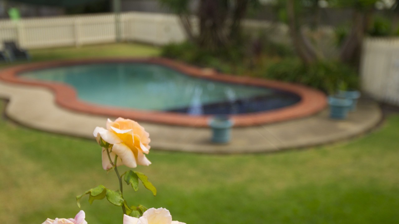 Photo of Outdoor in Belmont