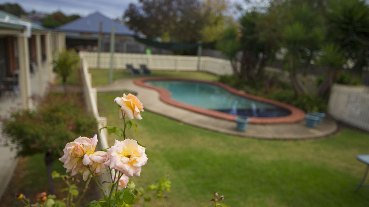 Photo of Outdoor in Belmont