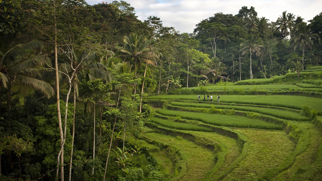 Photo of Others in Melayang