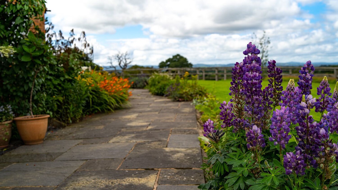 Photo of Outdoor in Barton