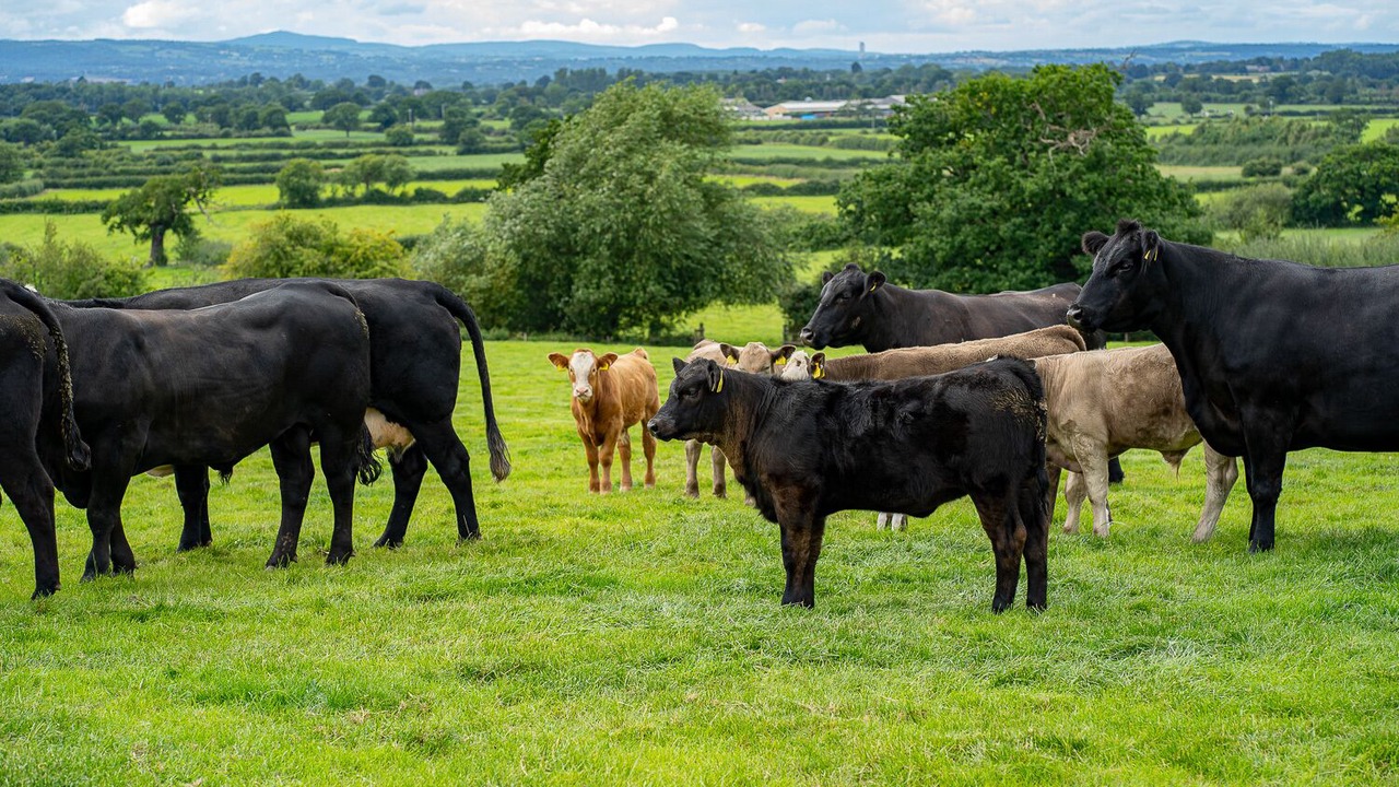 Photo of Outdoor in Barton