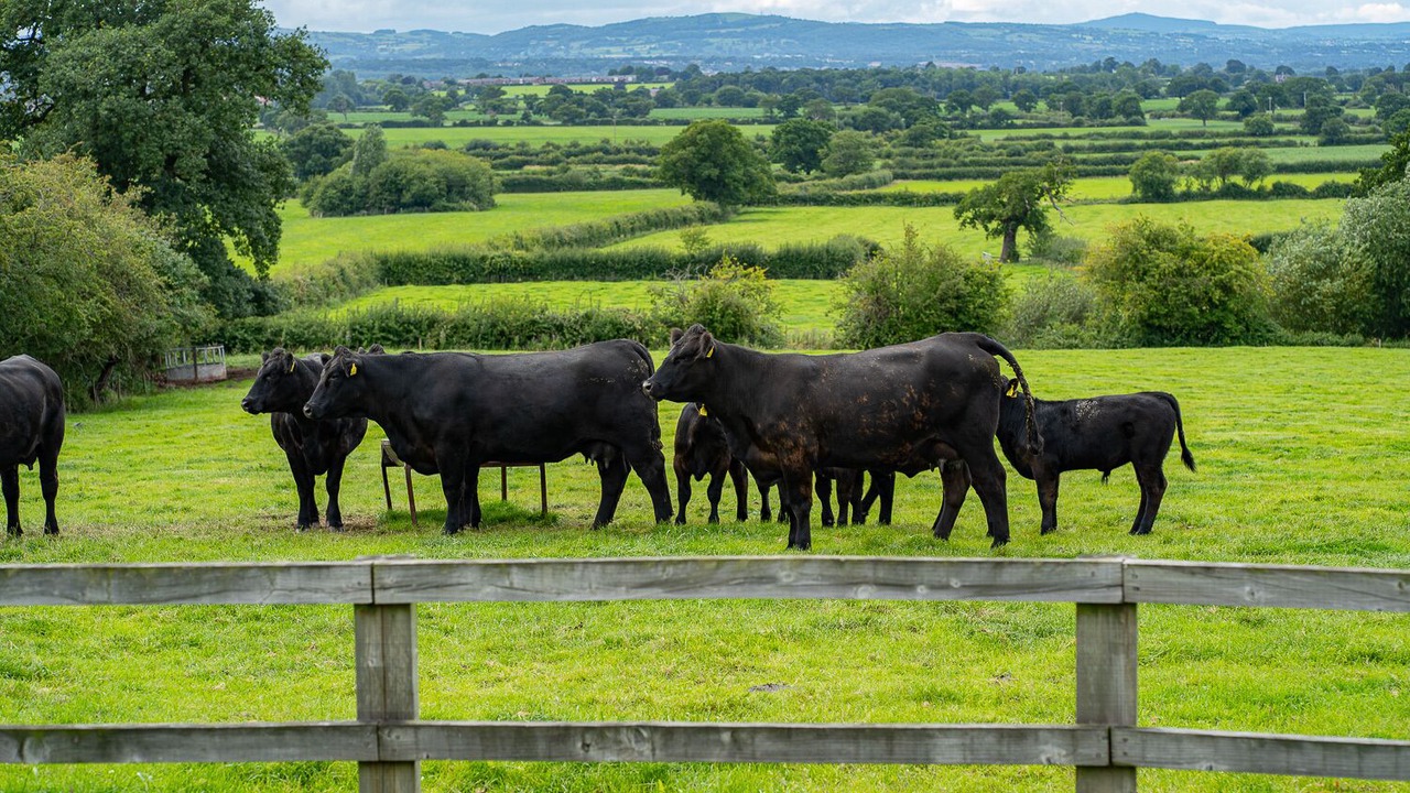 Photo of Outdoor in Barton