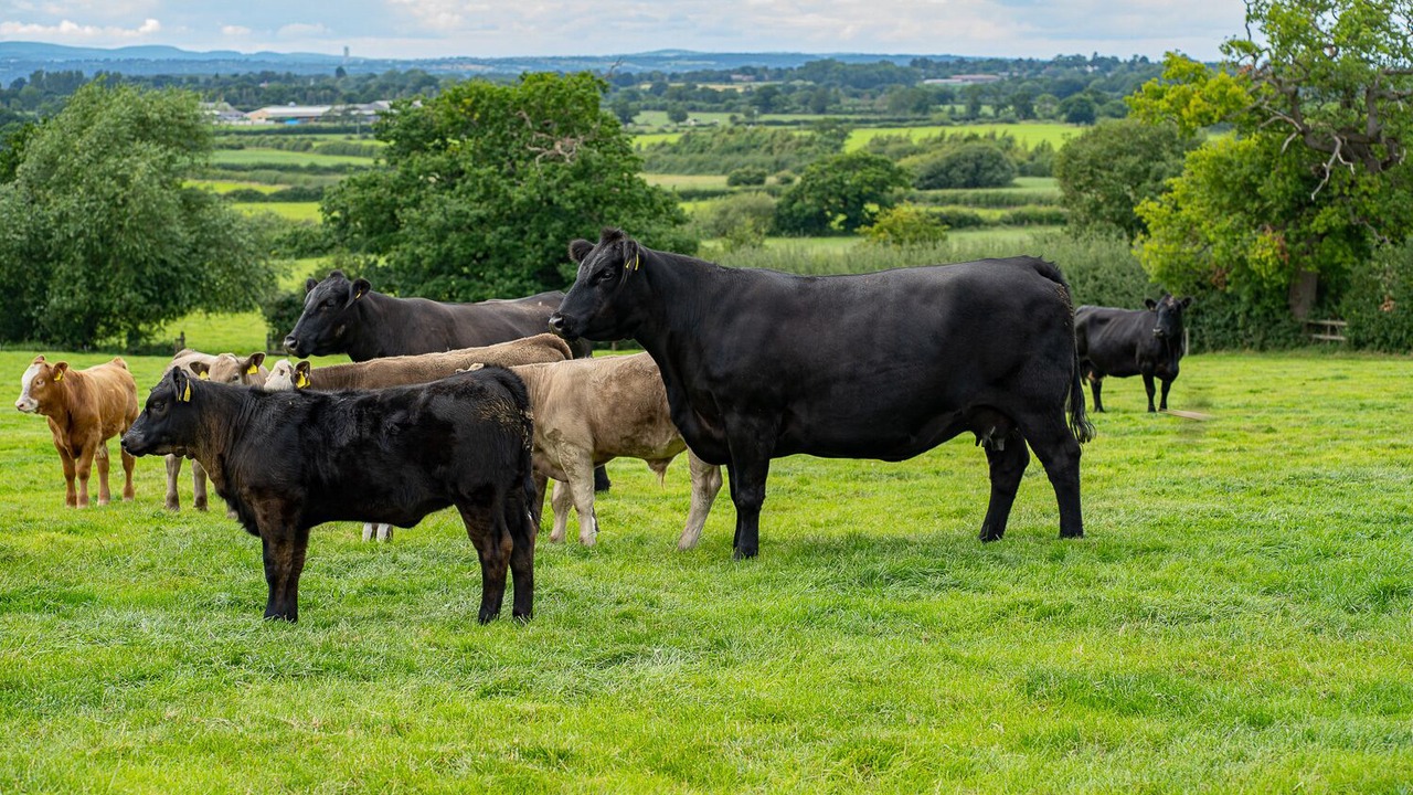 Photo of Outdoor in Barton