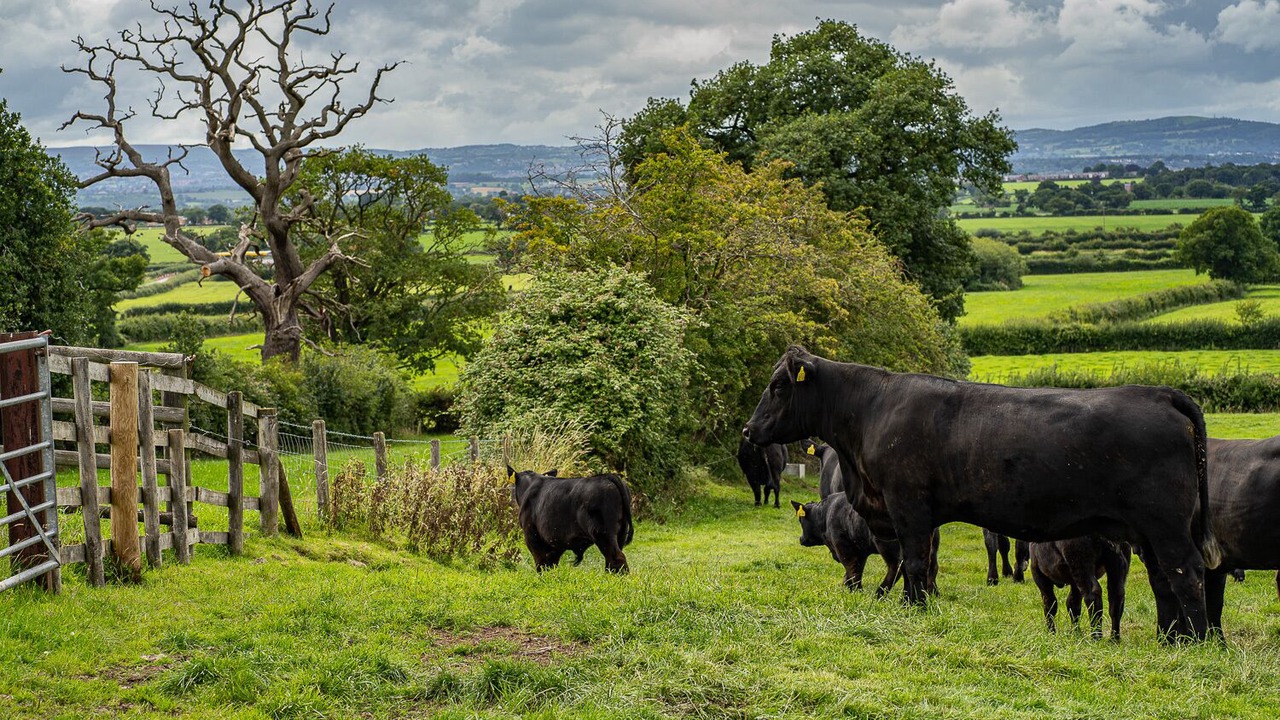 Photo of Outdoor in Barton