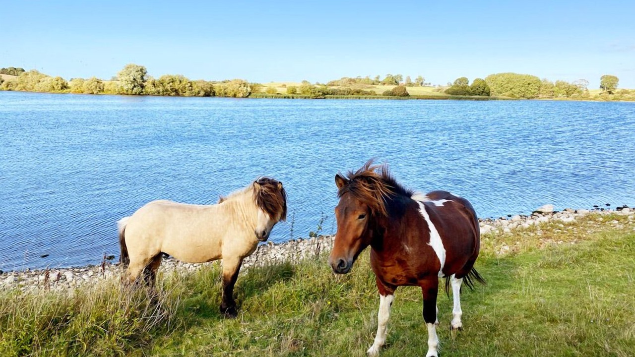 Photo of Outdoor in Hojby