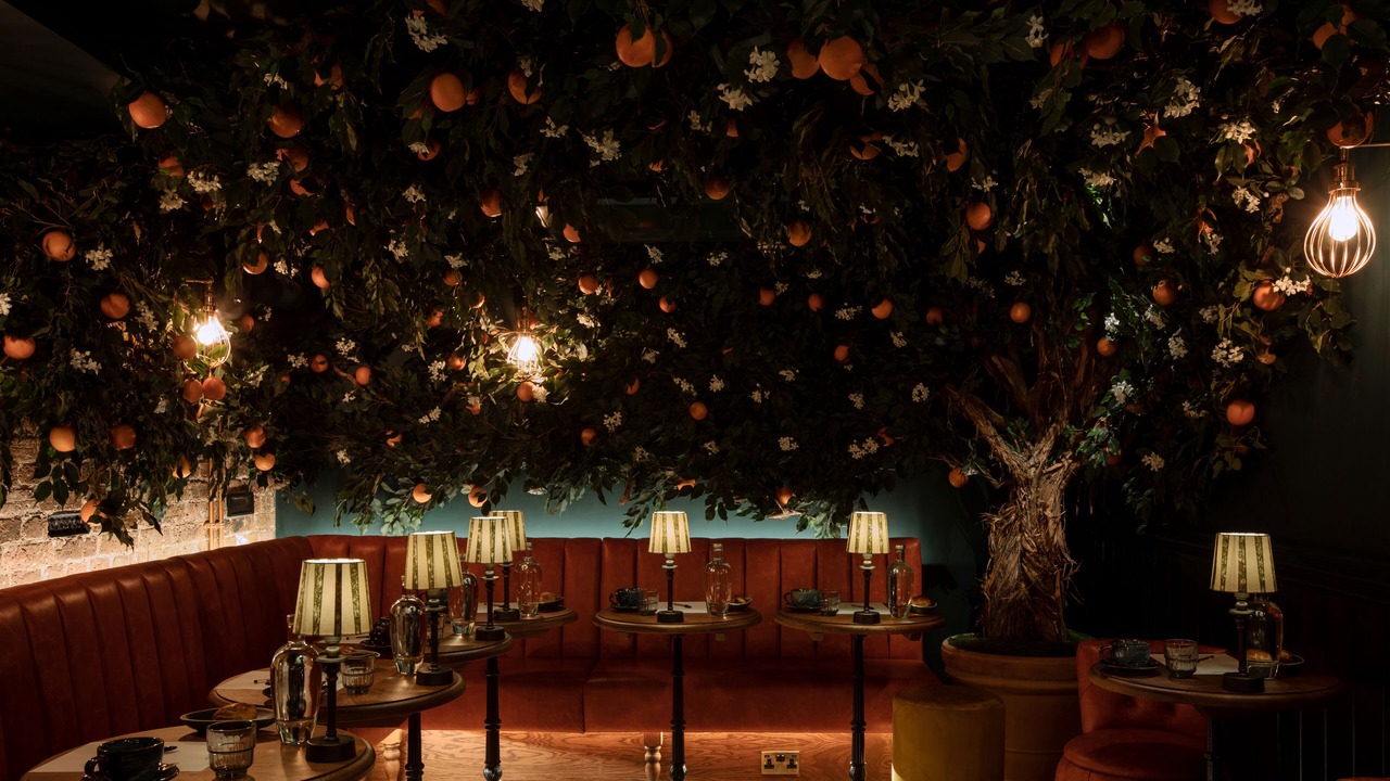 Photo of Others in Addison