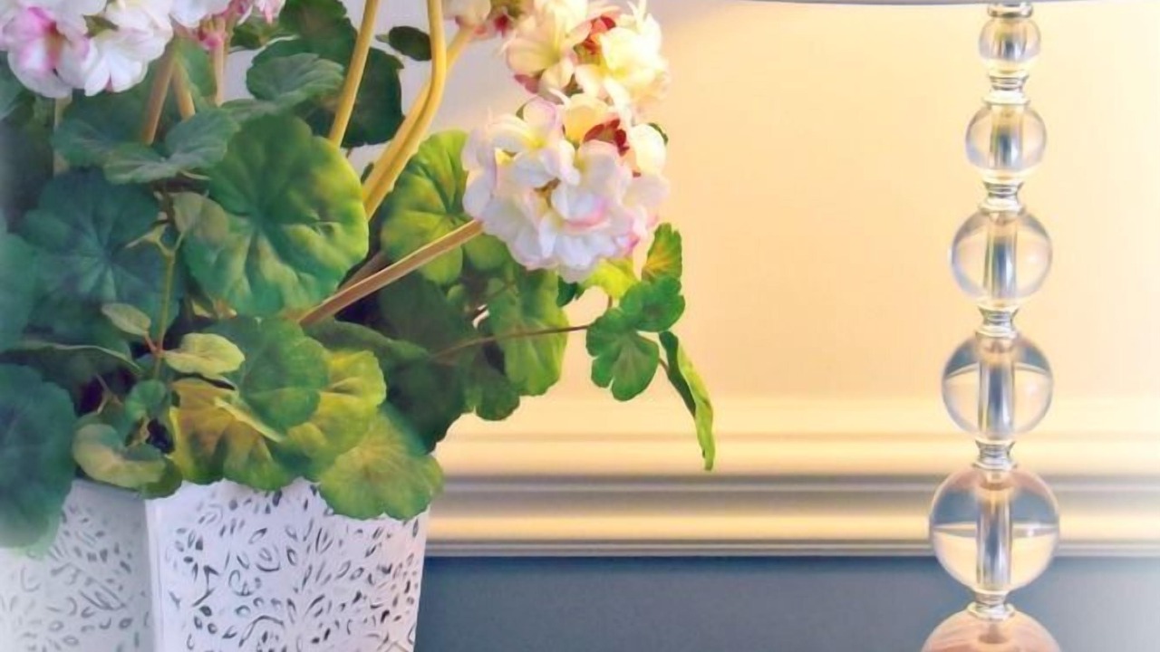 Photo of Others in Clarks Summit