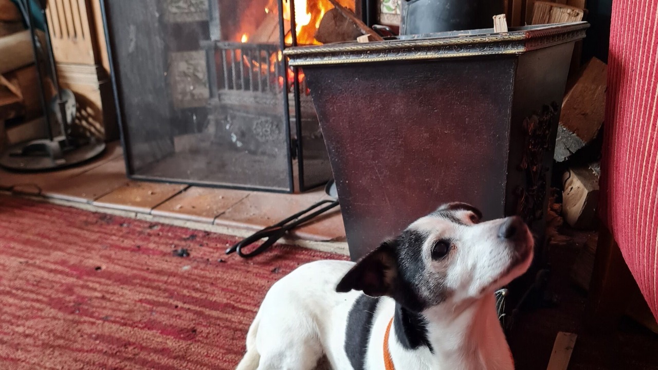 Photo of Others in Seaford