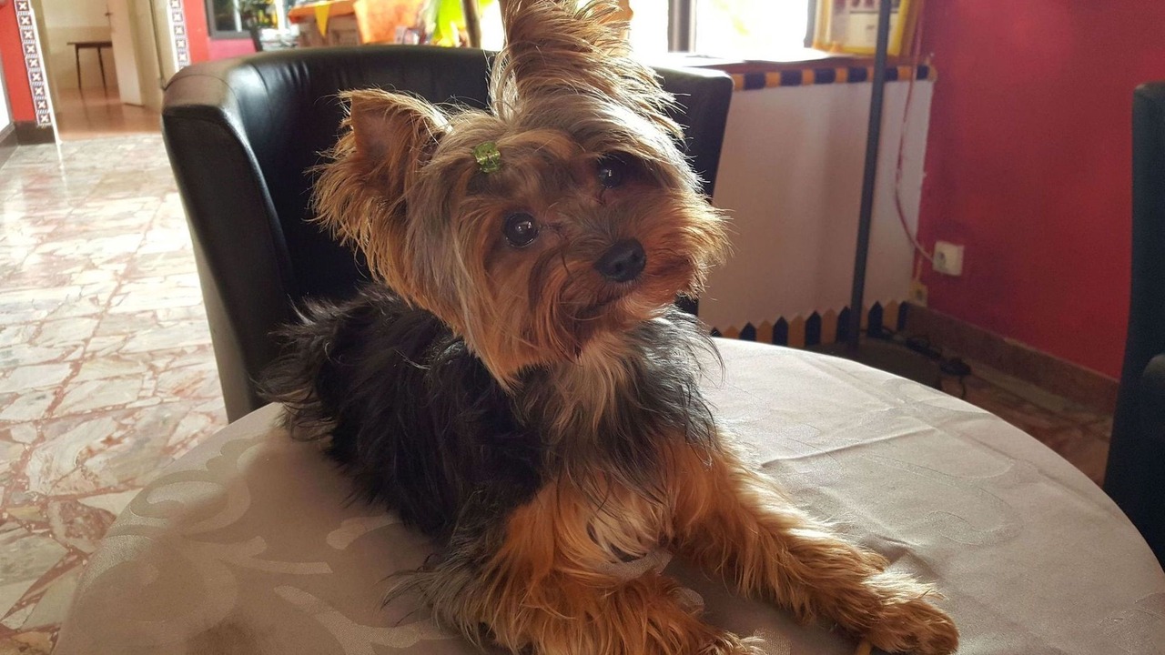 Photo of Others in Chateauneuf-les-Martigues