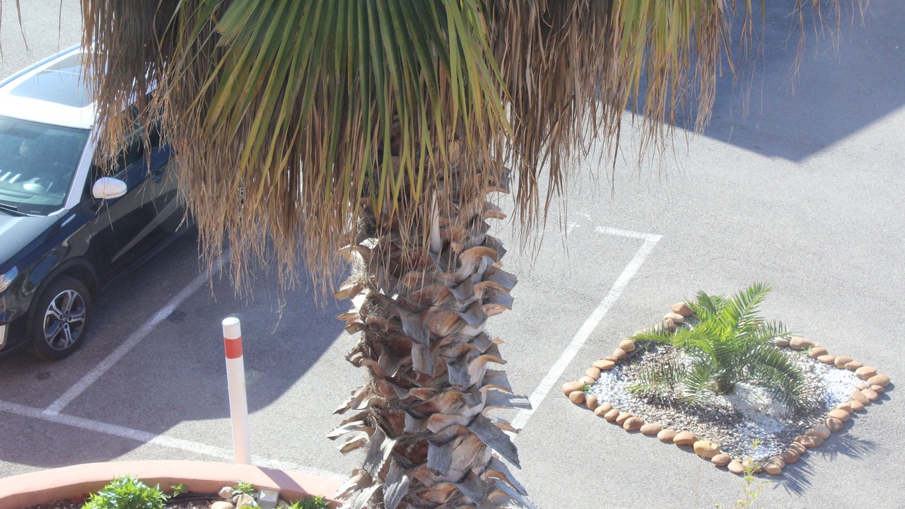 Photo of Others in Chateauneuf-les-Martigues